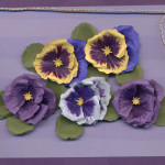 pansies