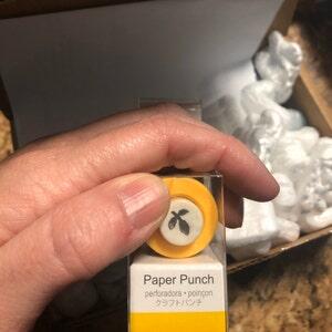 Image #1 from Amisha McMahon