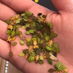 Image #1 from jordan gottke