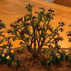 Image #1 from debbycundiff