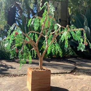 Image #1 from Noreen Axelson