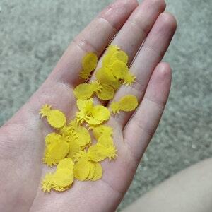 Image #1 from Stephanie Warrix