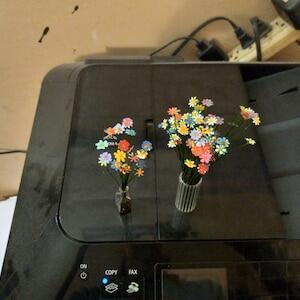 Image #1 from Bonnie Mason