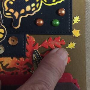 Image #1 from Catherine Hanson