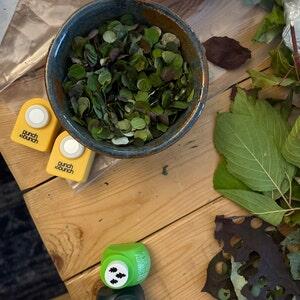 Image #1 from Rebekah