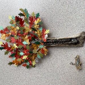 Image #1 from Teryn Morrell