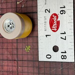 Image #1 from Dustin Yoder