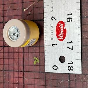 Image #1 from Dustin Yoder