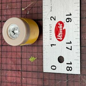 Image #1 from Dustin Yoder