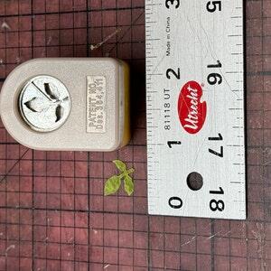 Image #1 from Dustin Yoder