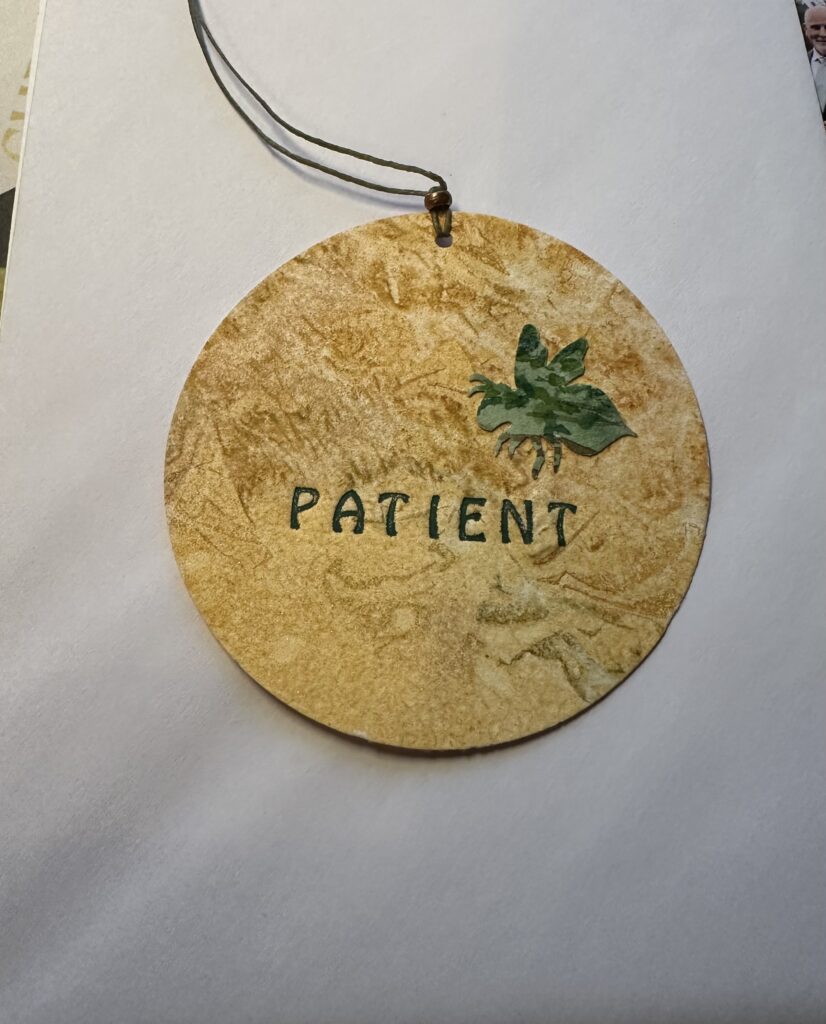 Image #1 from Nancy H.